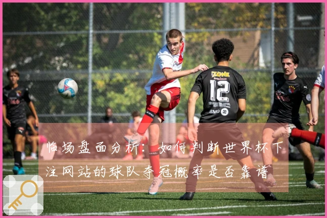 临场盘面分析：如何判断世界杯下注网站的球队夺冠概率是否靠谱