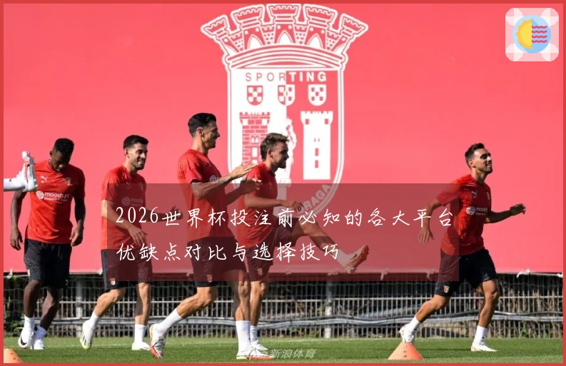 2026世界杯投注前必知的各大平台优缺点对比与选择技巧