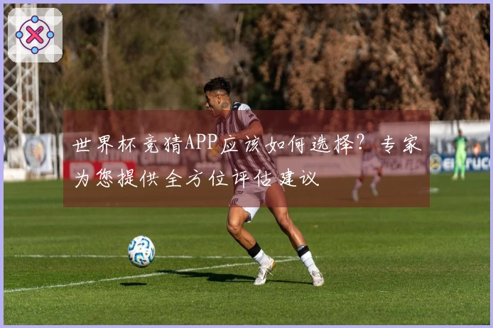 世界杯竞猜APP应该如何选择？专家为您提供全方位评估建议