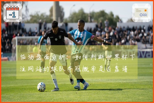 临场盘面分析：如何判断世界杯下注网站的球队夺冠概率是否靠谱