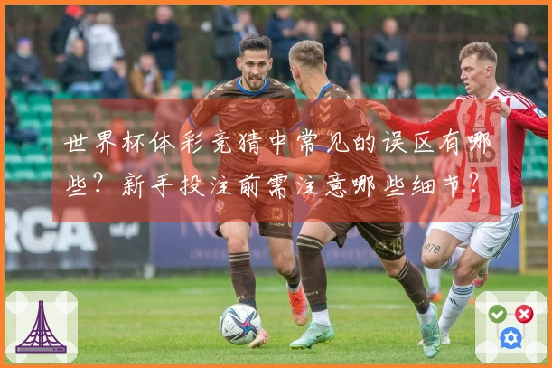 世界杯体彩竞猜中常见的误区有哪些？新手投注前需注意哪些细节？
