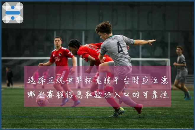 选择正规世界杯竞猜平台时应注意哪些赛程信息和验证入口的可靠性