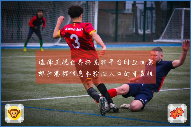 选择正规世界杯竞猜平台时应注意哪些赛程信息和验证入口的可靠性