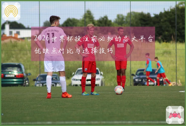 2026世界杯投注前必知的各大平台优缺点对比与选择技巧